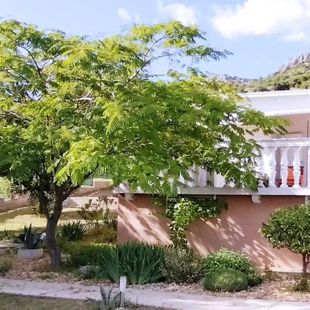 The Garden Of Elais Villa Šibenik Екстериор снимка