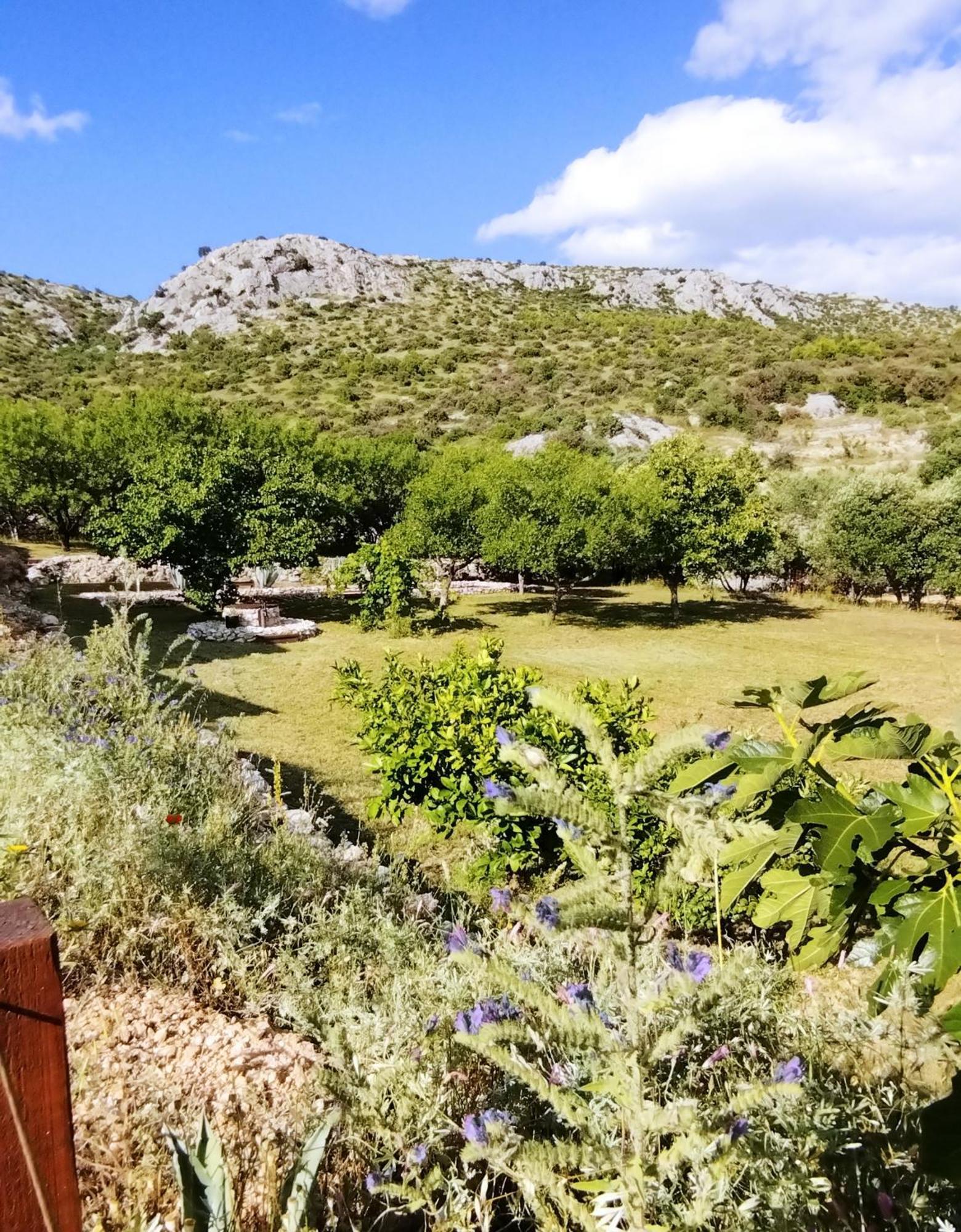 The Garden Of Elais Villa Šibenik Екстериор снимка