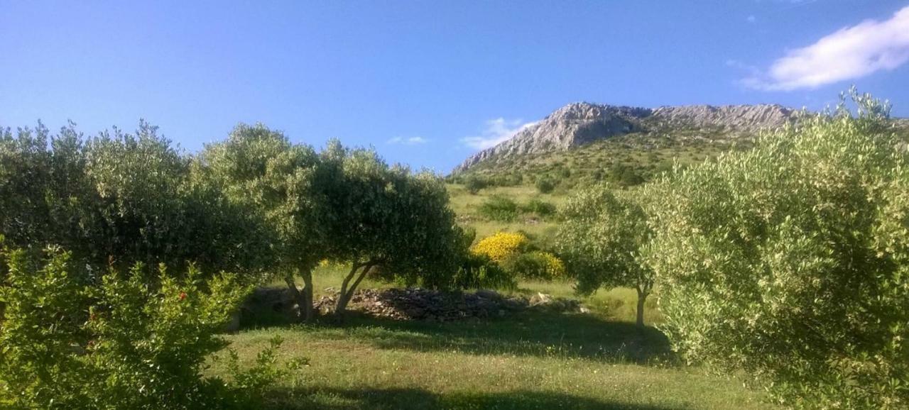 The Garden Of Elais Villa Šibenik Екстериор снимка