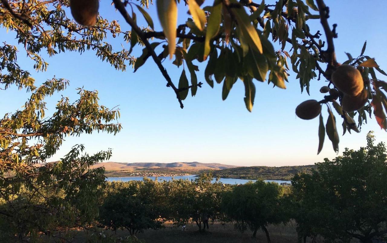 The Garden Of Elais Villa Šibenik Екстериор снимка