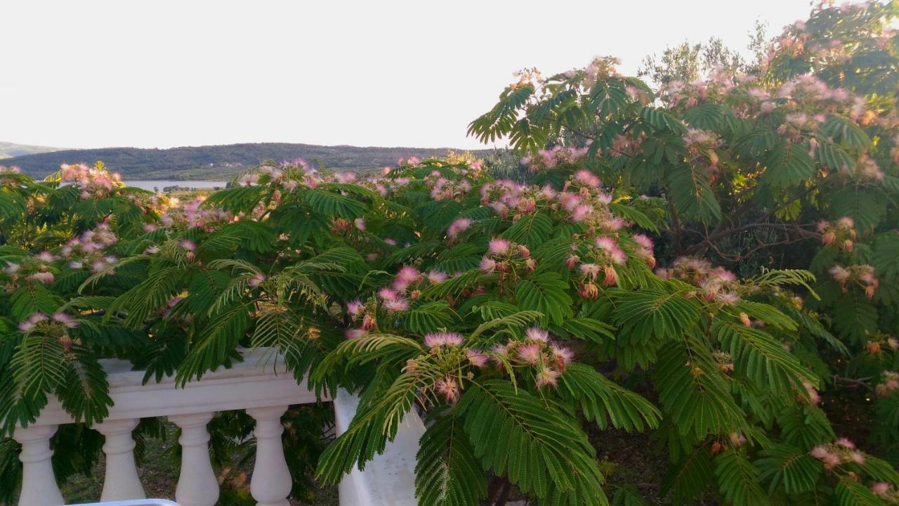 The Garden Of Elais Villa Šibenik Екстериор снимка